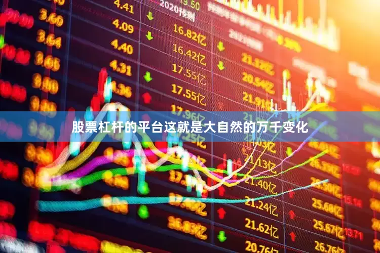 股票杠杆的平台这就是大自然的万千变化