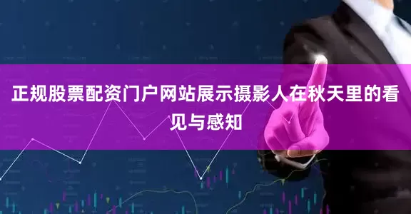 正规股票配资门户网站展示摄影人在秋天里的看见与感知